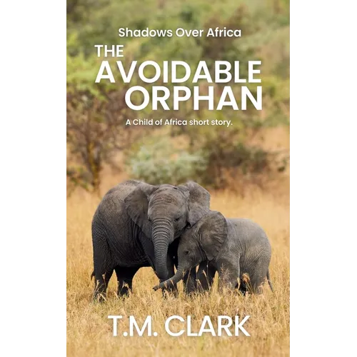 The Avoidable Orphan: a Child of Africa Story