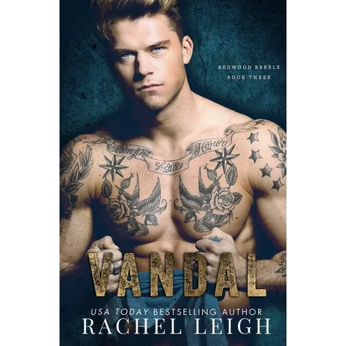 Vandal: A Dark Bully Romance