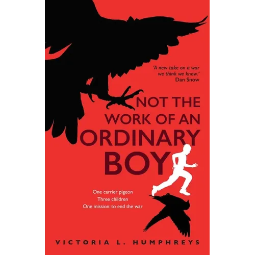 Not the Work of an Ordinary Boy