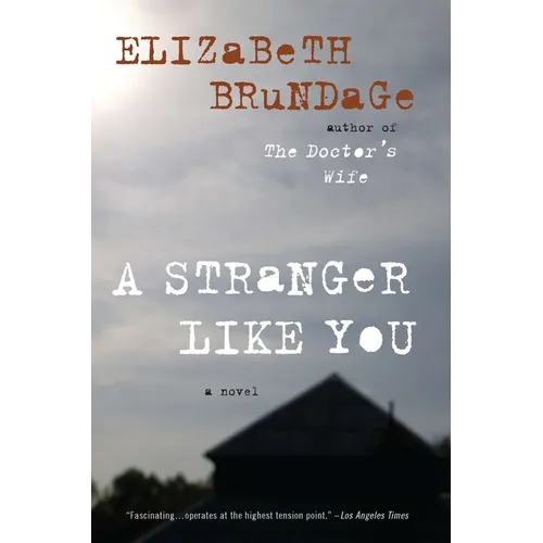 A Stranger Like You