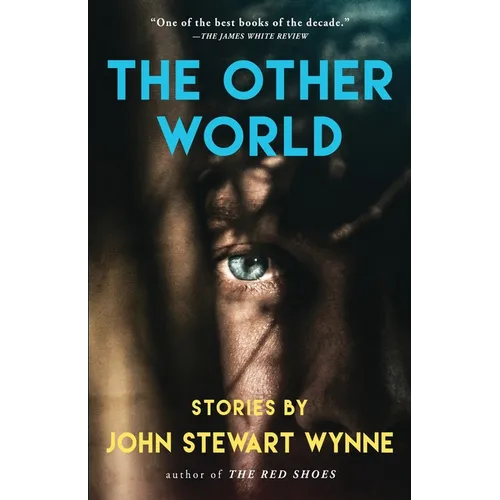 The Other World: Stories by John Stewart Wynne