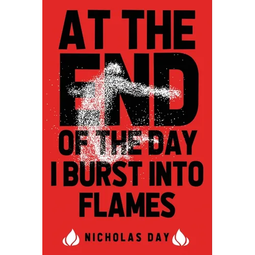 At The End Of The Day I Burst Into Flames