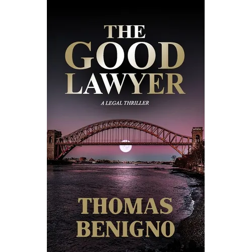 The Good Lawyer: (Mass Market Paperback)