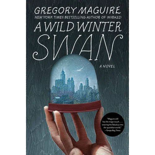 A Wild Winter Swan