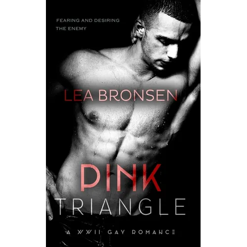 Pink Triangle: A WWII Gay Romance