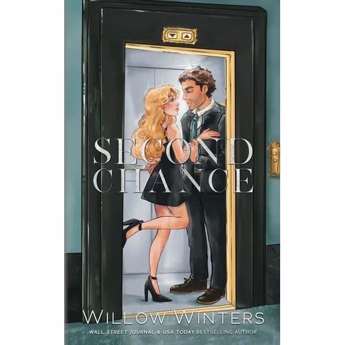 Second Chance: Artist Rendition
