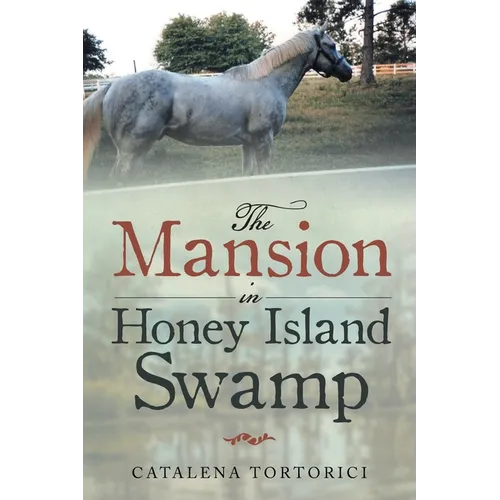 The Mansion in Honey Island Swamp