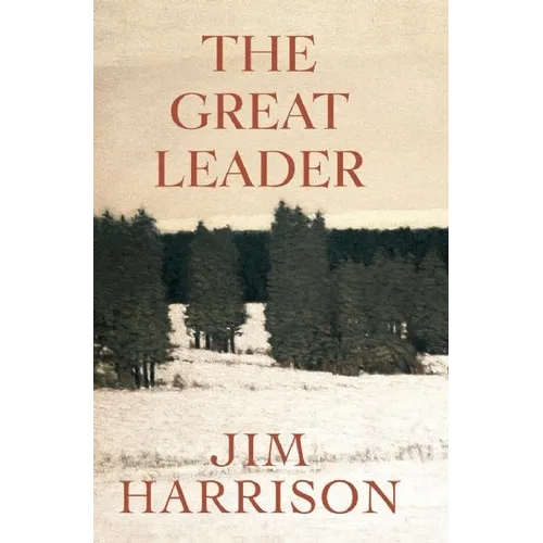 The Great Leader: A Faux Mystery