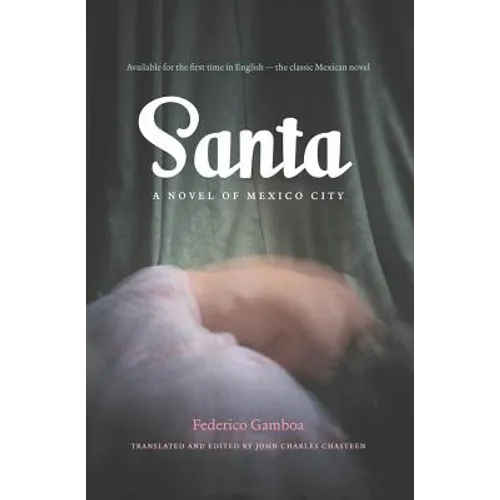 Santa: A Novel of Mexico City