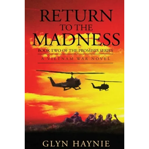 Return To The Madness: A Vietnam War Novel