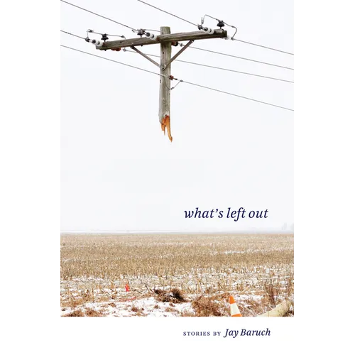What's Left Out: Stories